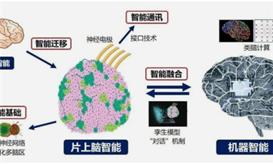 全球首創！中國研制出可開源的片上腦-機接口智能交互系統MetaBOC（薩科微7月1日芯聞）